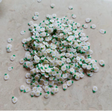 shakers pack