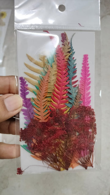 Leaf with Pressed Flowers