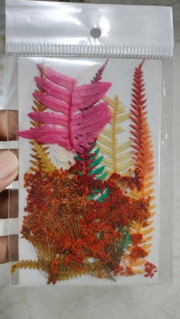 Leaf with Pressed Flowers
