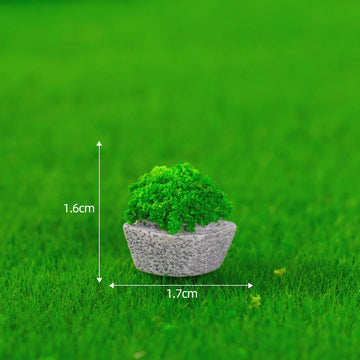 Fan-shaped break grass miniature
