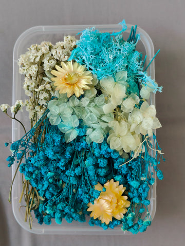 Dry Flower box