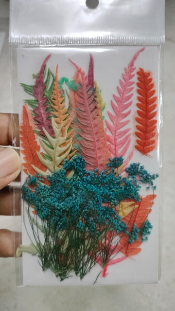 Leaf with Pressed Flowers