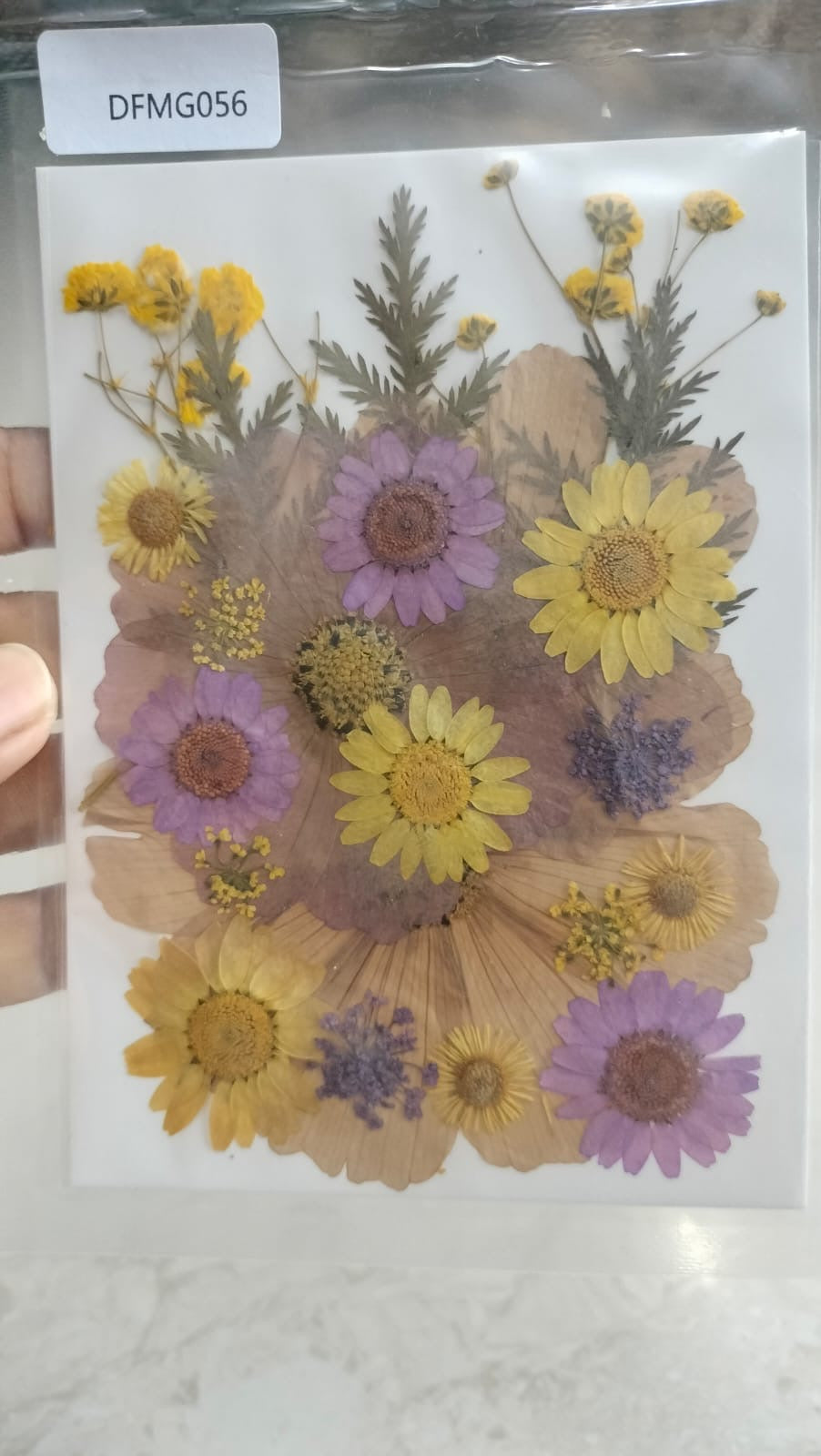 Mixed Pressed Flowers
