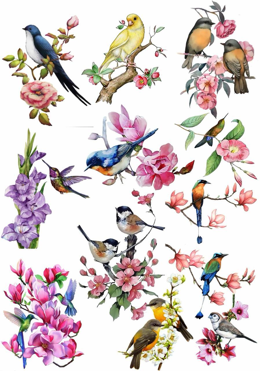 Birds and Flowers Resin color sticker