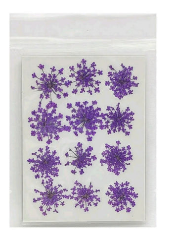 Purple Anna Lace pressed flowers