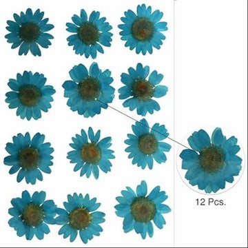 Blue Pressed Flowers