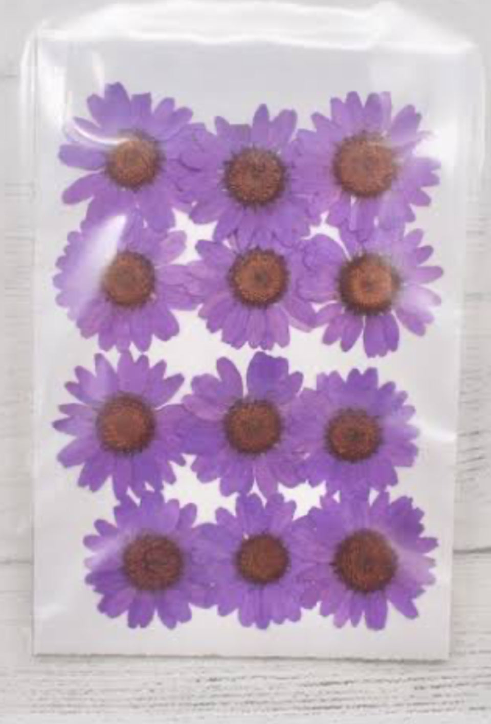 Daisy Pressed Flowers