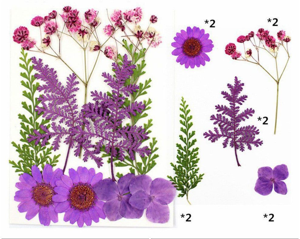 Purple Pressed Flowers