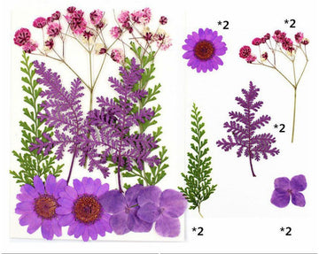Purple Pressed Flowers