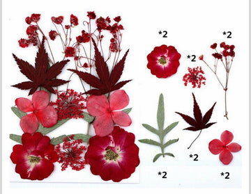 Red Pressed Flowers