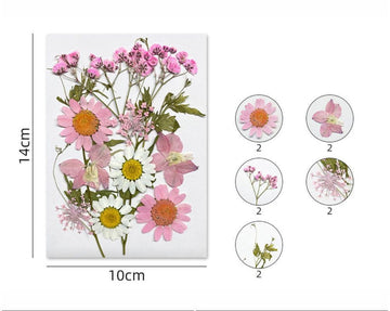 Pink & White Pressed Flowers