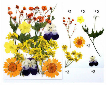 Yellow Pressed Flowers