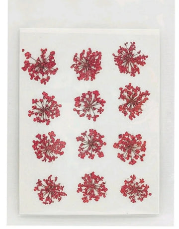 Red Anna lace Pressed Flowers