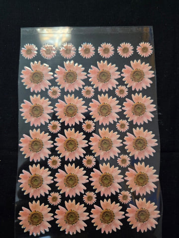 Uv Sticker Daisy Flower