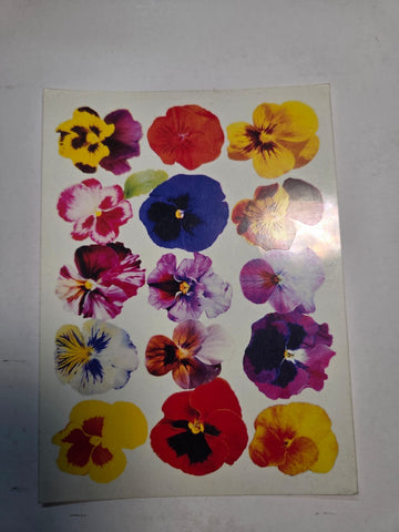 Resin color sticker