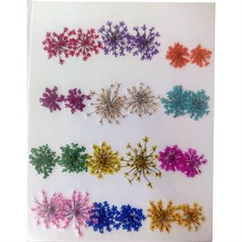 Multicolor Anna Lace Pressed Flower