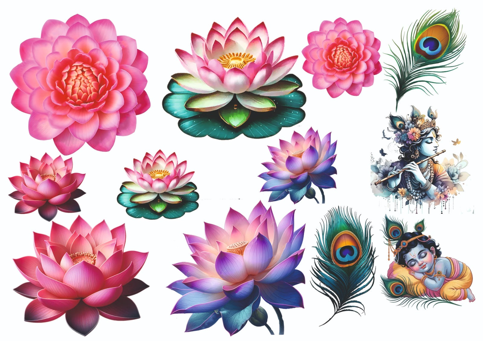 Lotus flowers mix insert sheet