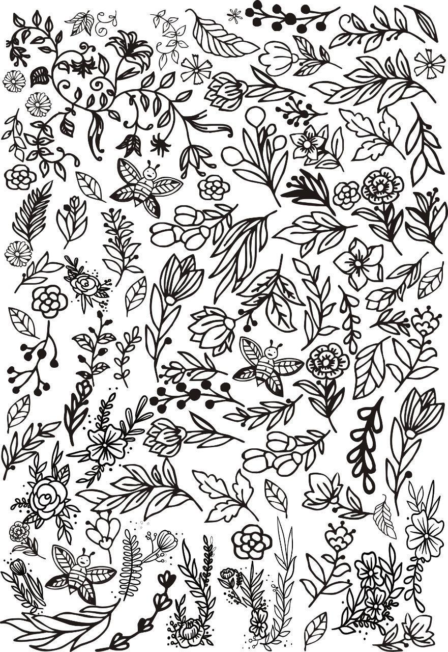 Botanical Line Art Insert sheet