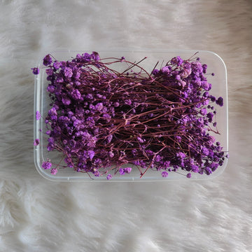 Dry Flower Box Gypsy Purple
