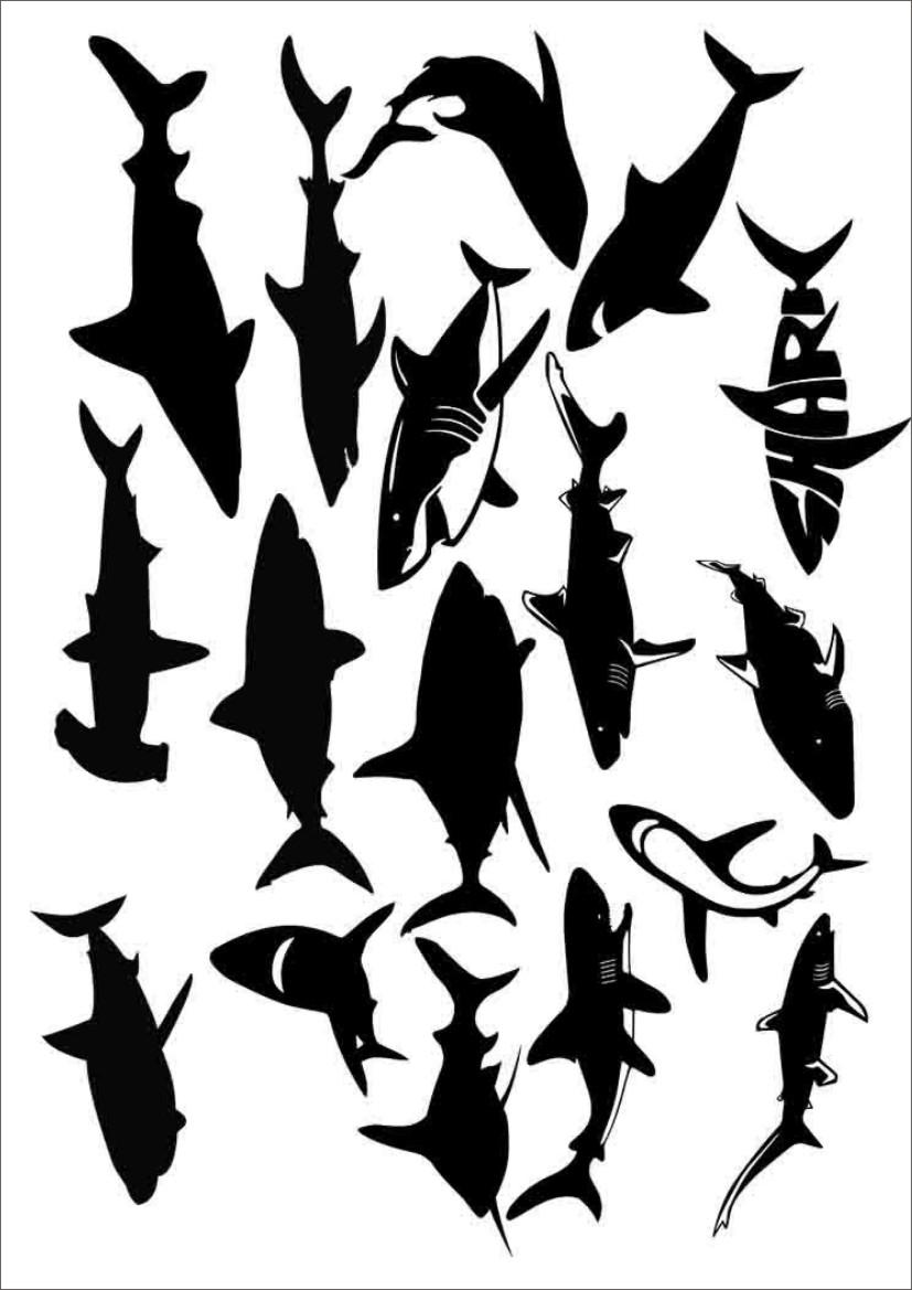 Shark Resin color sticker