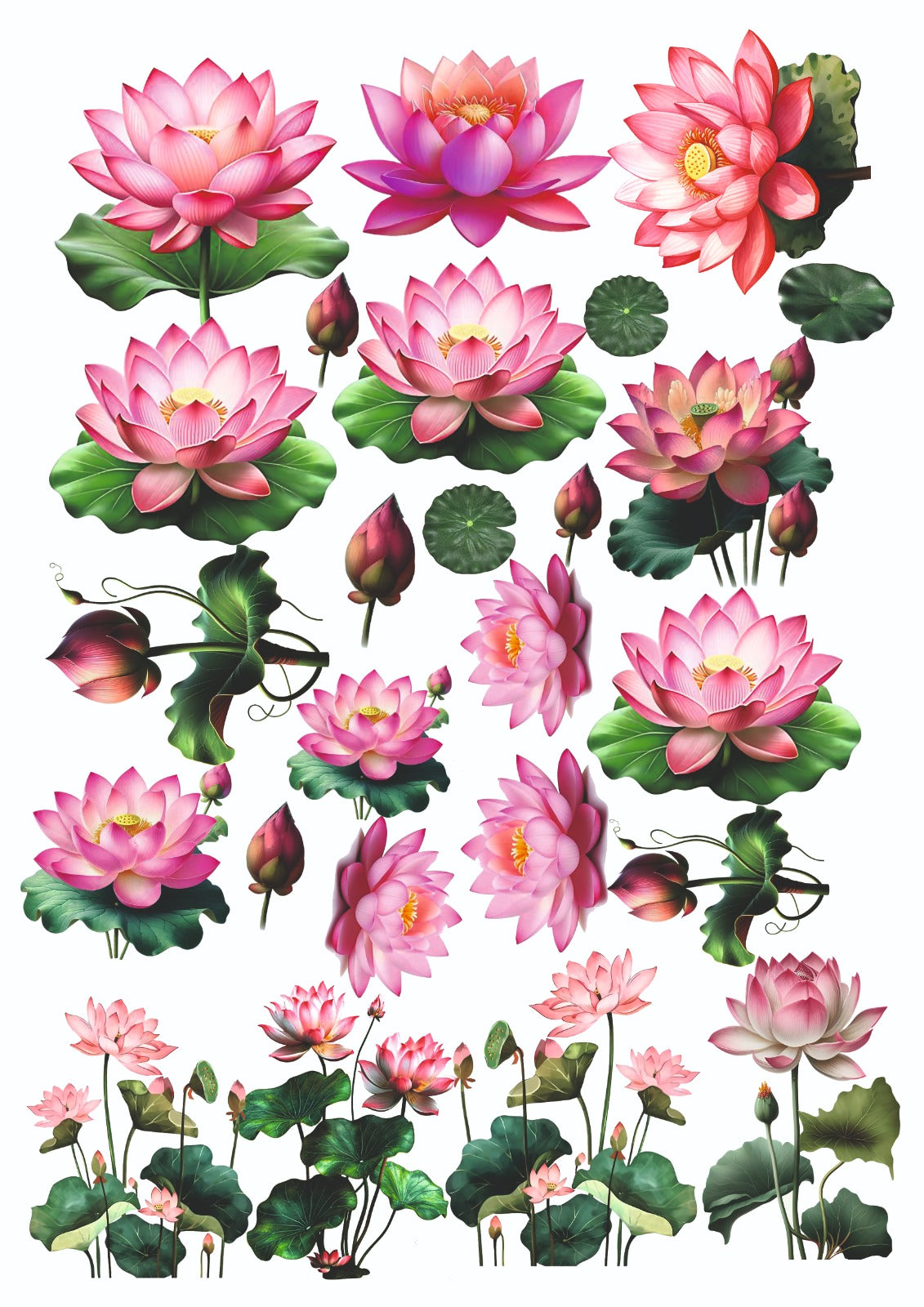 Lotus flowers mix insert sheet (Copy)