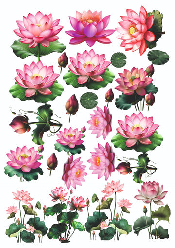 Lotus flowers mix insert sheet (Copy)