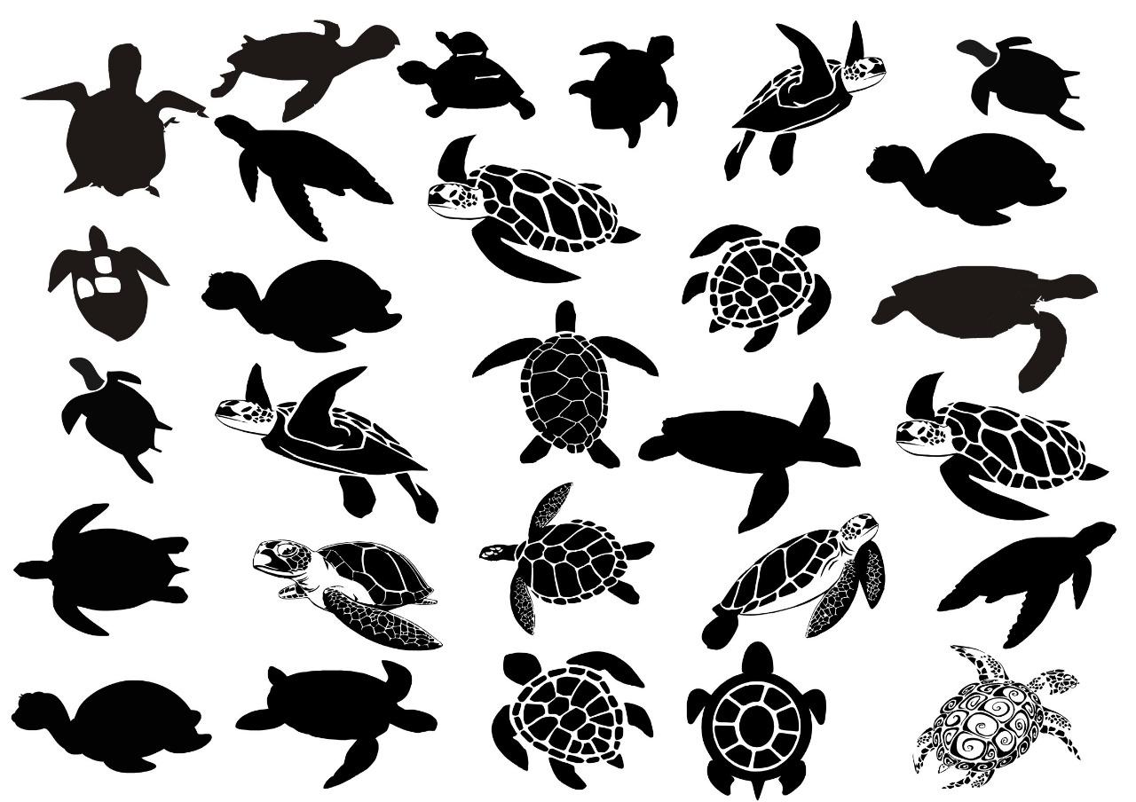 Sea Turtles Resin color sticker