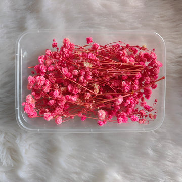 Dry Flower Box Gypsy pink