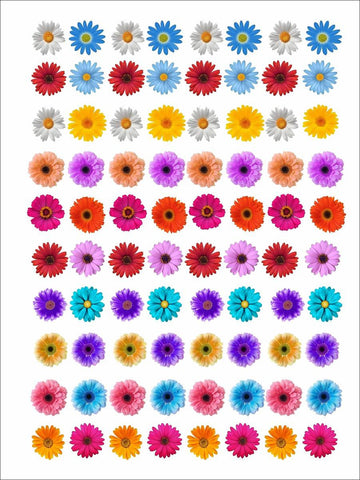 Daisy flowers mix  insert sheet