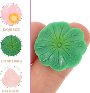 Lotus Leaf Miniature