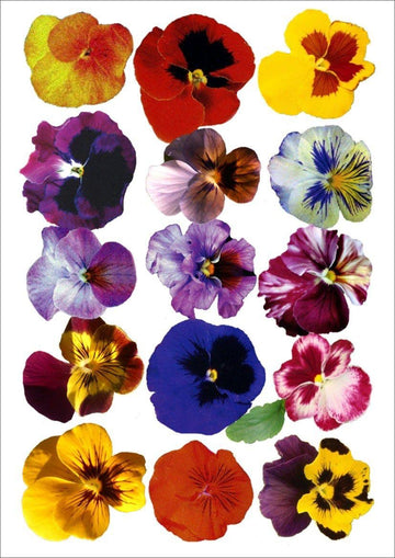 Watercolored Flowers Resin color sticker