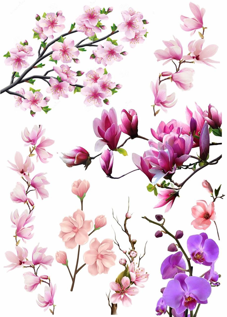 Magnolia Flowers Resin color sticker