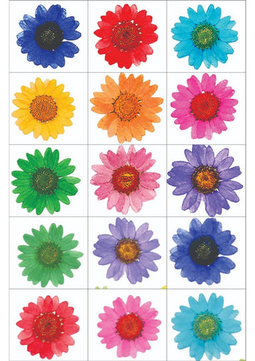 Resin Color Stickers - Assorted Pressed Flower Collection