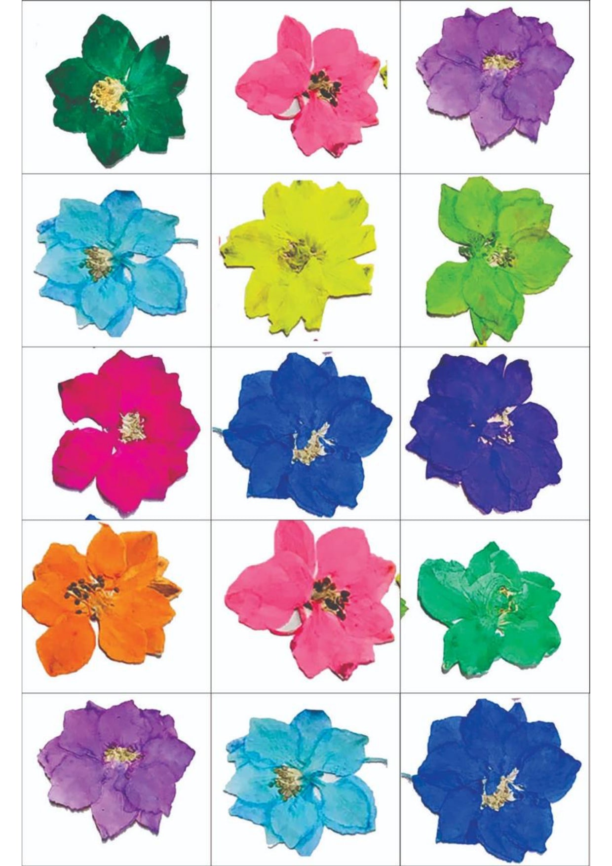 Resin Color Stickers - Vibrant Assorted Flower Sheet