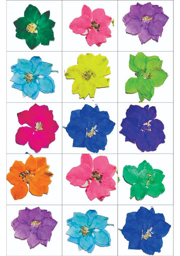 Resin Color Stickers - Vibrant Assorted Flower Sheet