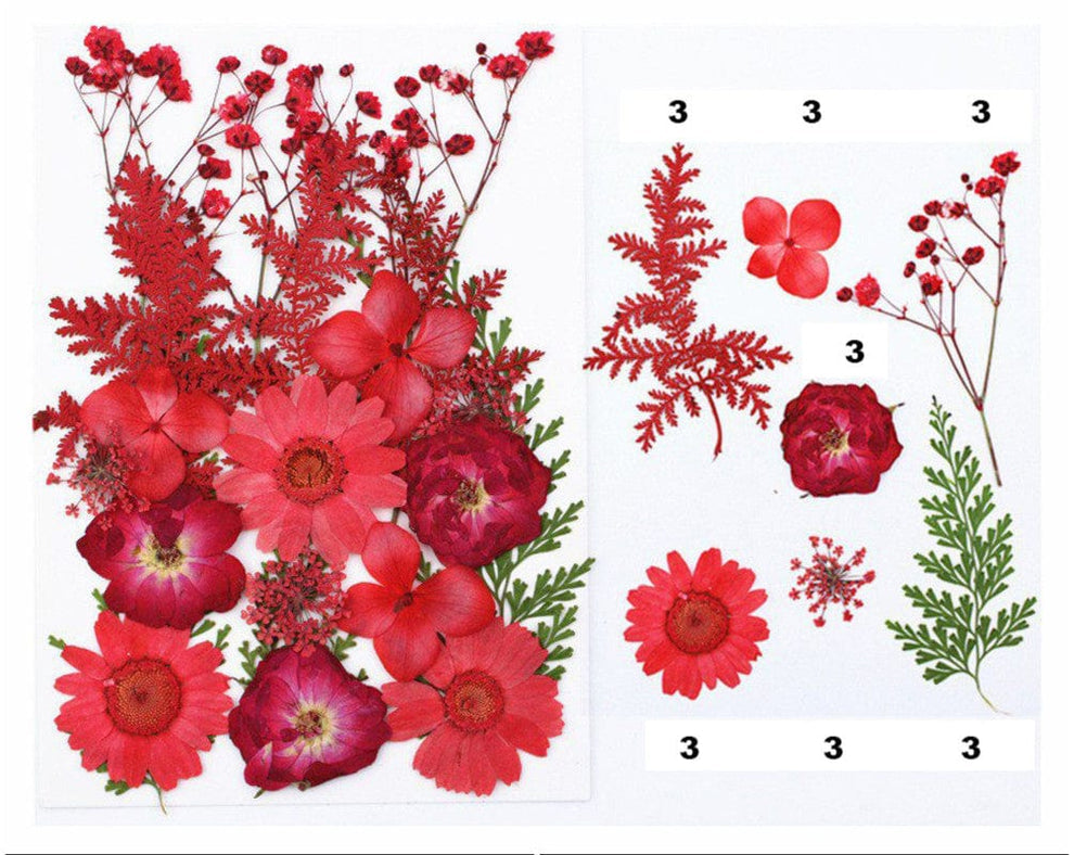 Red Pressed Flowers sheet