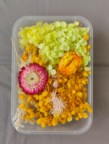 Dry Flower box