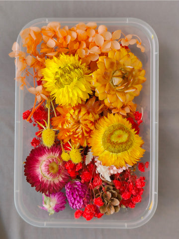 Dry Flower box