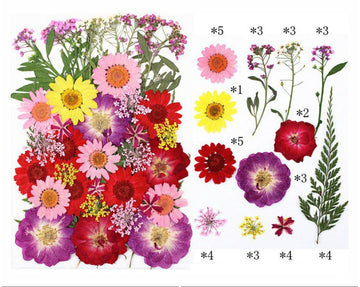 Pressed Flowers