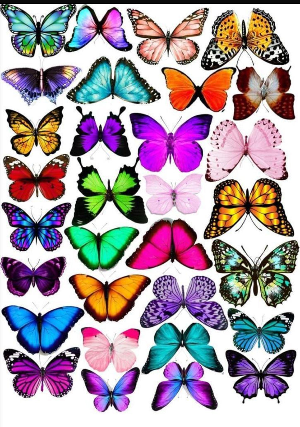 Butterfly design Resin color sticker
