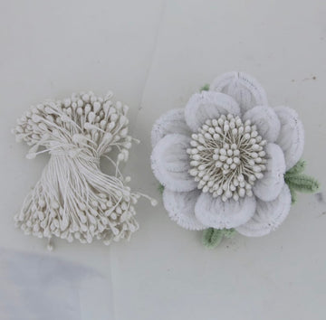Pollens Fir Flower white