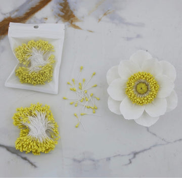Pollens Fir Flower Yellow