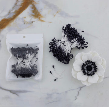 Pollens Fir Flower Black