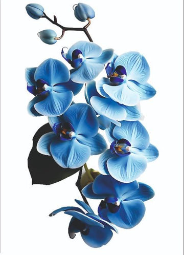 Resin Color Stickers - Blue Orchid