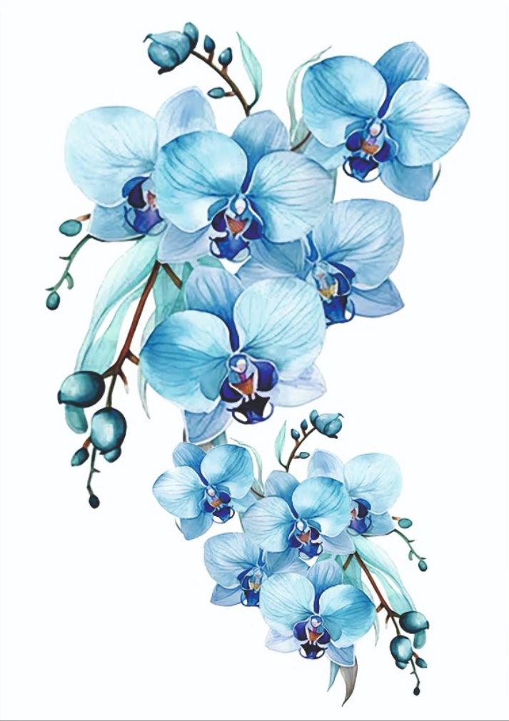 Resin Color Stickers - Watercolor Blue Orchid