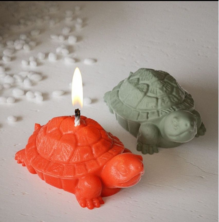 Tortoise Mould