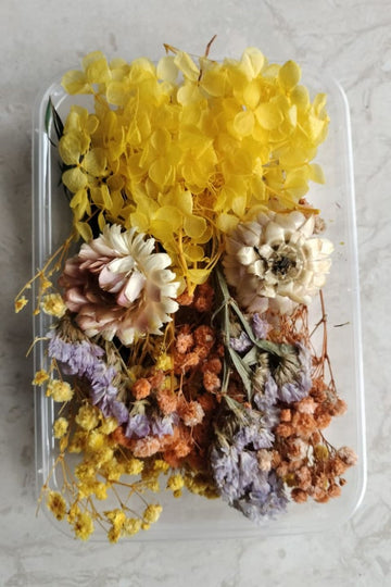 Dry Flower box