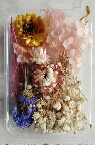Dry Flower box