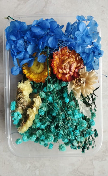 Dry Flower box