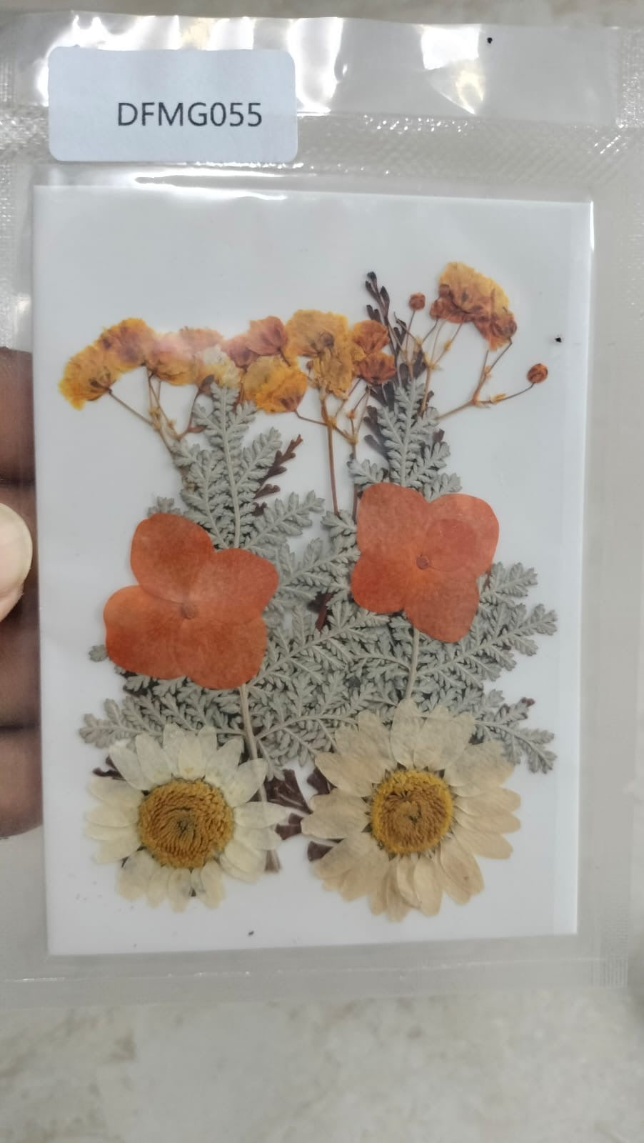 Mixed Pressed Flowers